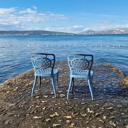Two Spalatina * 스플리트