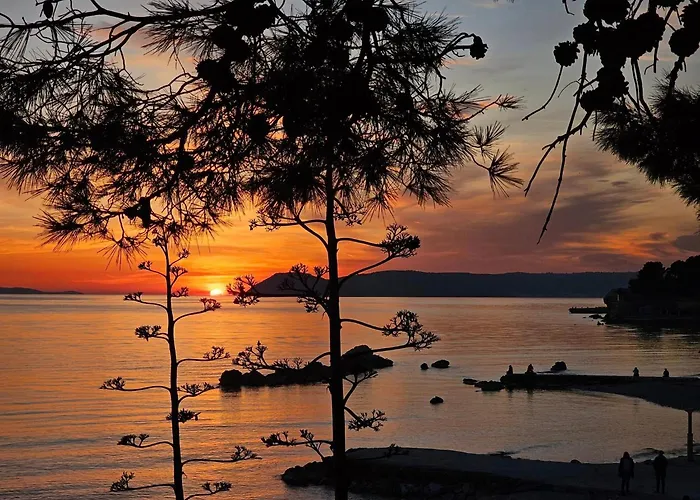 Two Spalatina 斯普利特