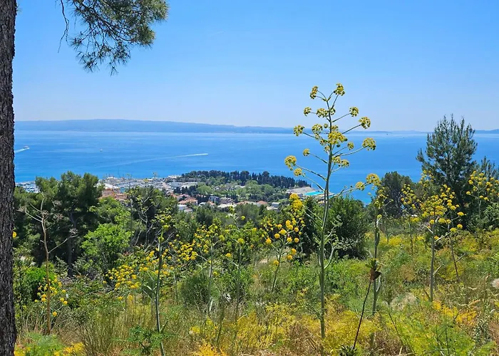 Two Spalatina 公寓 *