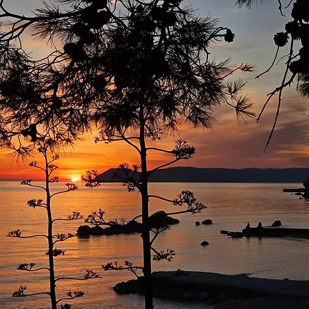 Two Spalatina Сплит